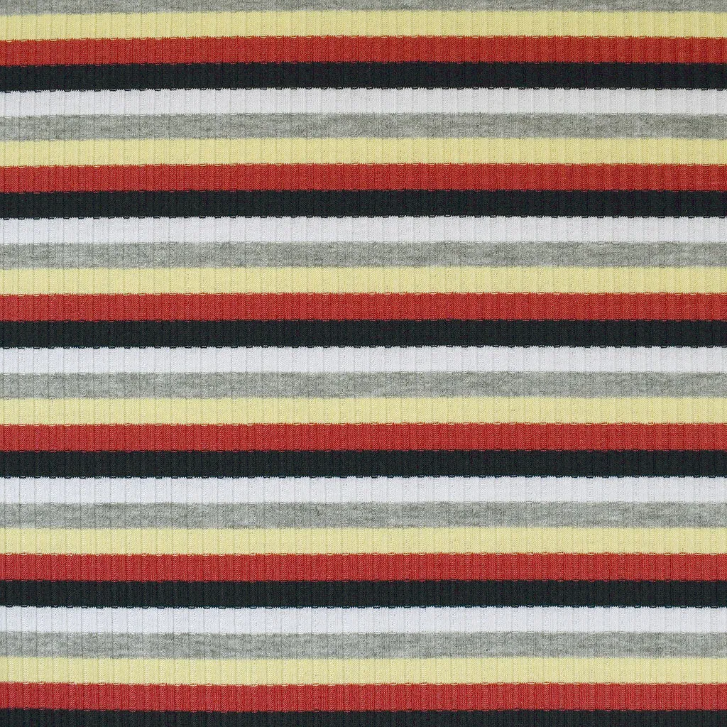 Autumn Even Stripe Rib Jersey Knit Multi